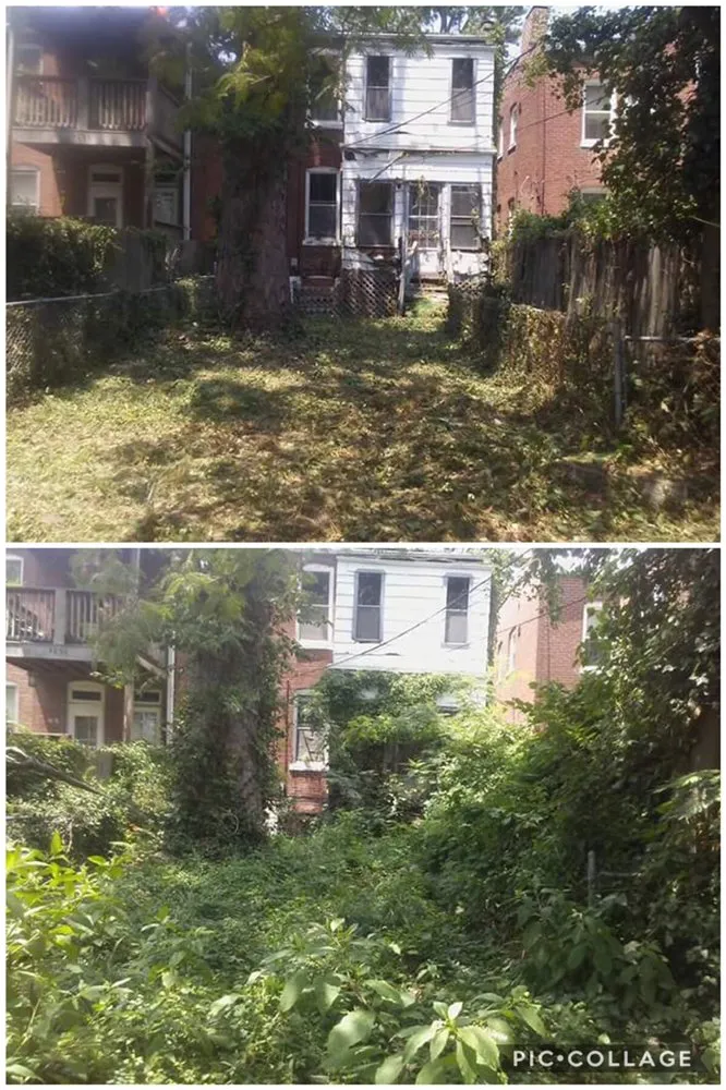 Custom landscape design for residential properties across St. Louis, MO - Lawns Unlimited