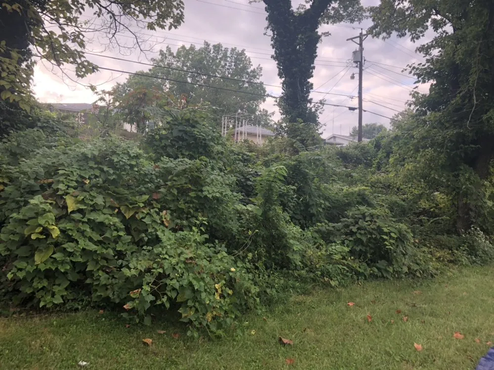 Local landscape installation in St. Louis, MO by Lawns Unlimited