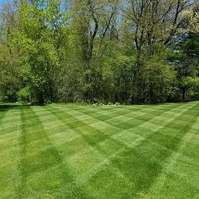 Expert landscape design experts serving St. Louis, MO - Lawns Unlimited