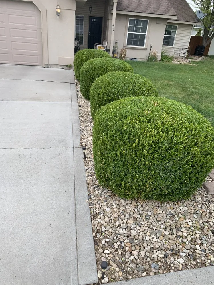 Trusted landscape design in Filer, ID by Lawnsasaurus