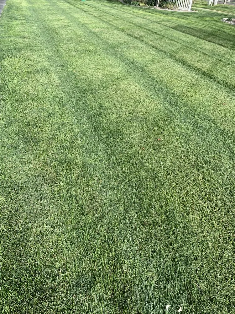 Reliable garden landscaping experts serving Filer, ID - Lawnsasaurus