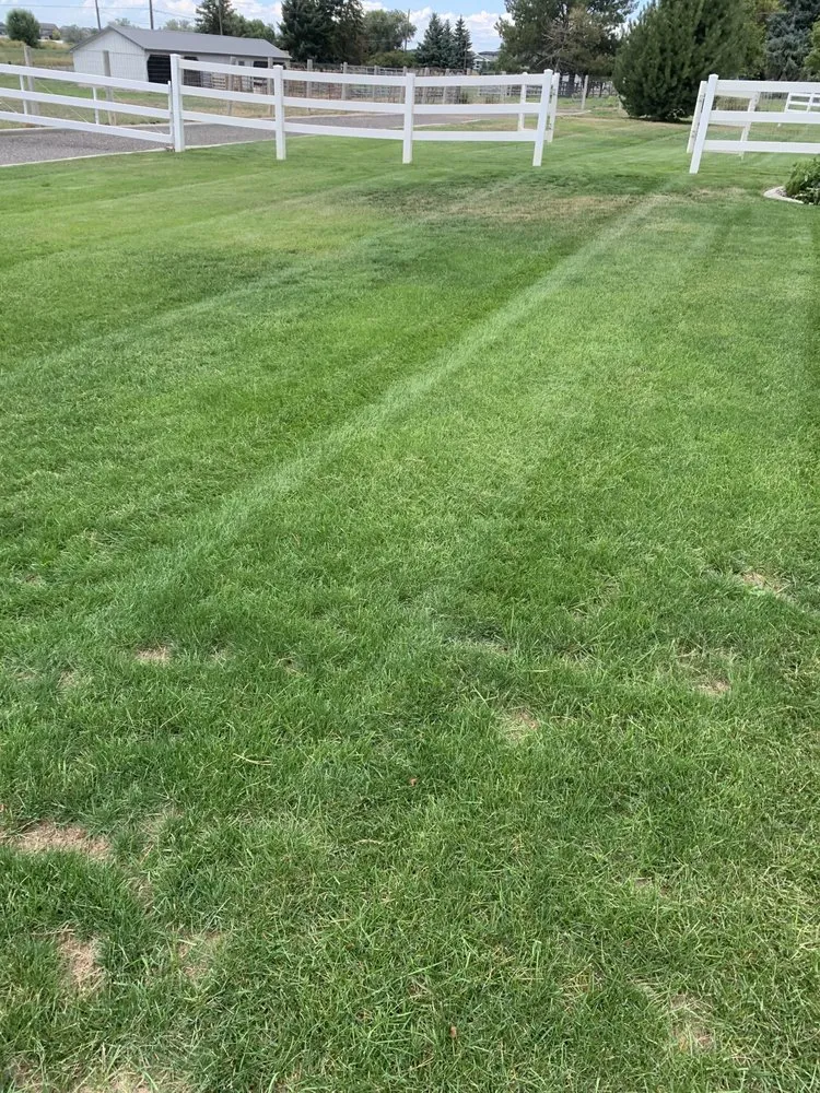 Top-rated residential landscaping experts serving Filer, ID - Lawnsasaurus