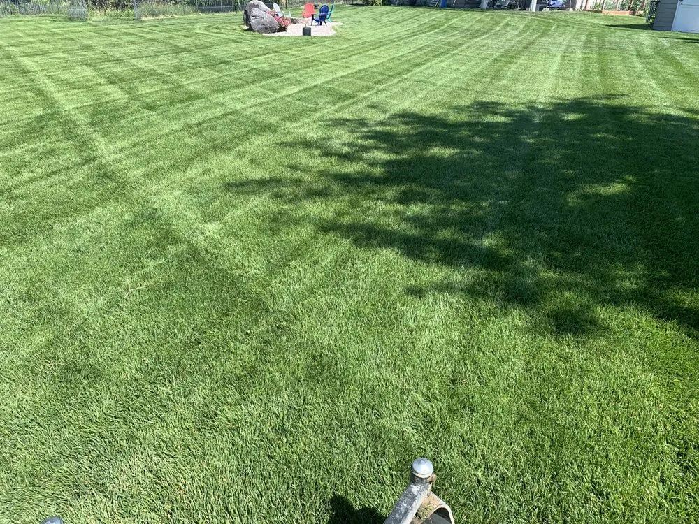 Affordable lawn care service in Filer, ID by Lawnsasaurus