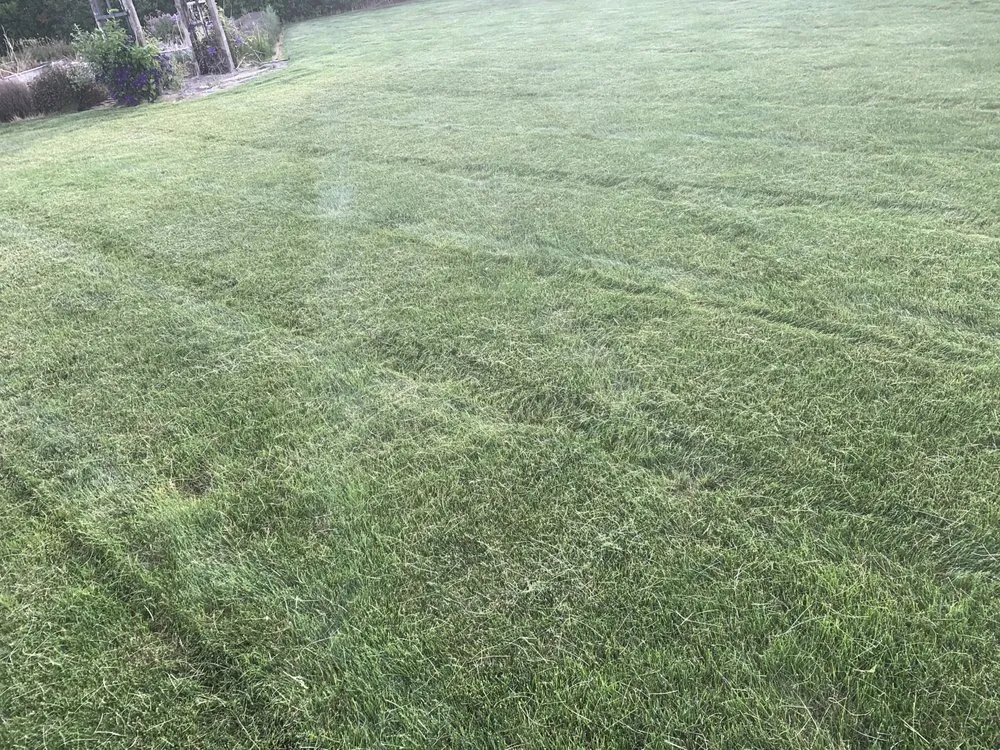 Expert landscape design for beautiful yards across Filer, ID - Lawnsasaurus