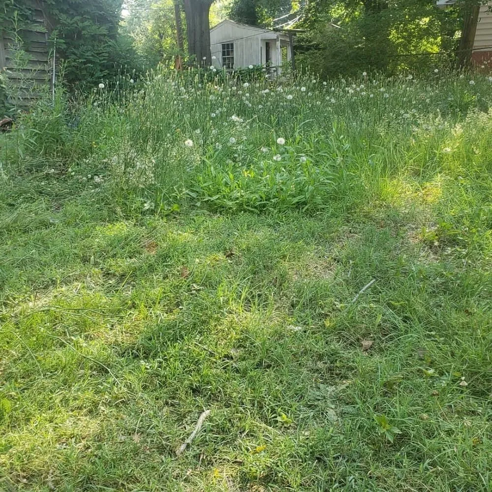 Trusted landscape installation for residential properties across Henrico, VA - Lawnsbyjake