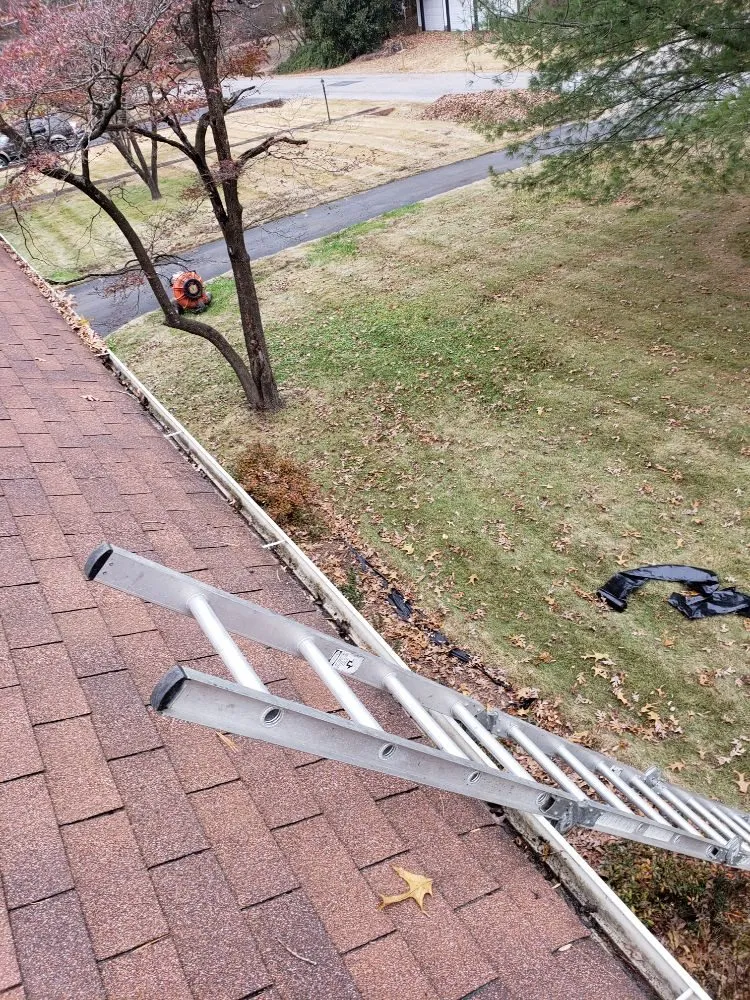 Professional landscape installation in Henrico, VA - Lawnsbyjake