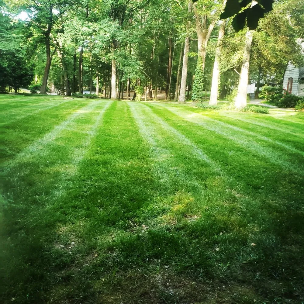 Affordable residential landscaping experts serving Henrico, VA - Lawnsbyjake