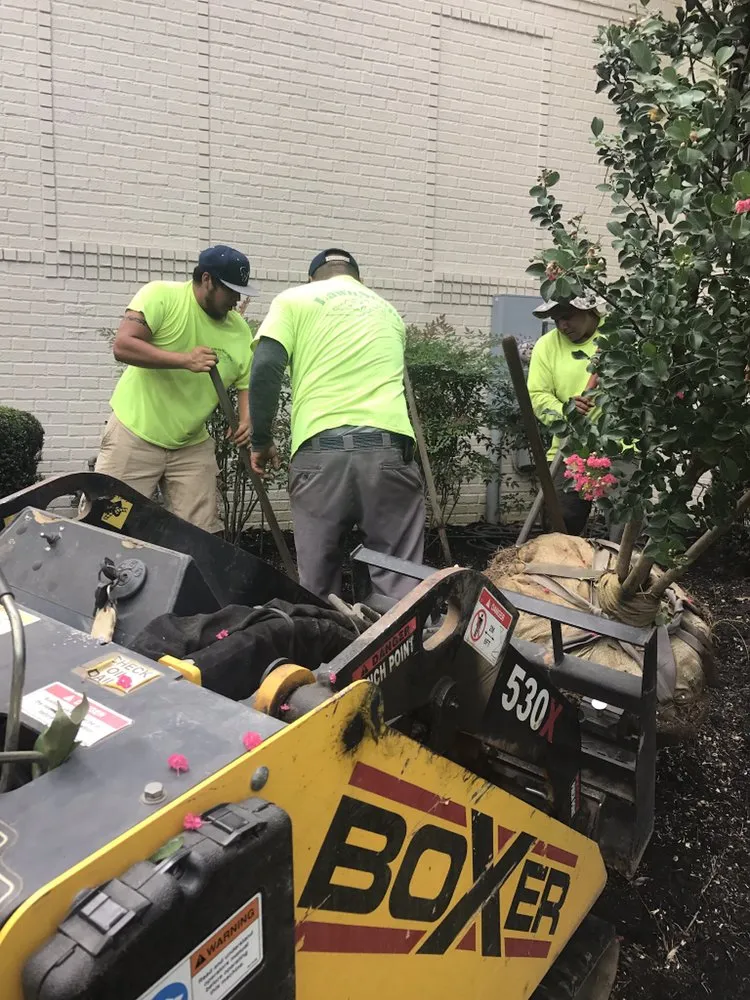 Expert garden landscaping for year-round maintenance in Ashland City, TN by Lawnscape