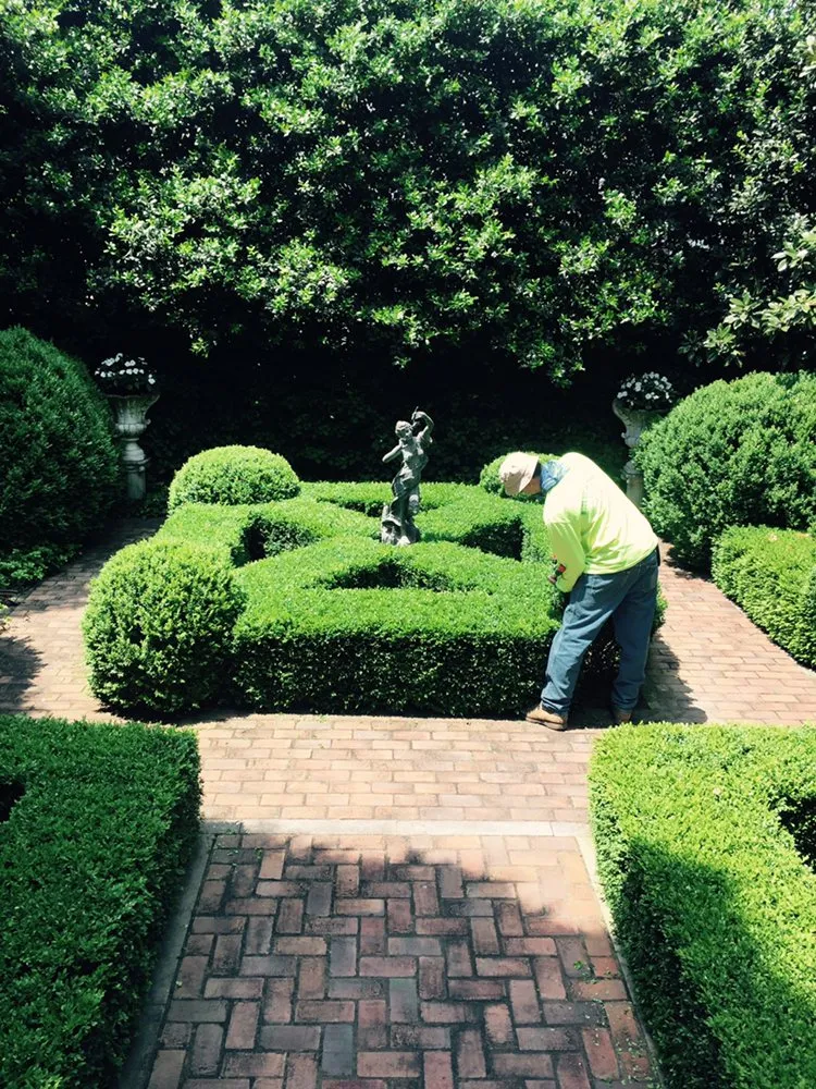 Top-rated residential landscaping in Ashland City, TN by Lawnscape