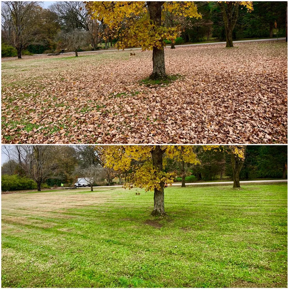 Affordable yard maintenance for beautiful yards in Ashland City, TN by Lawnscape
