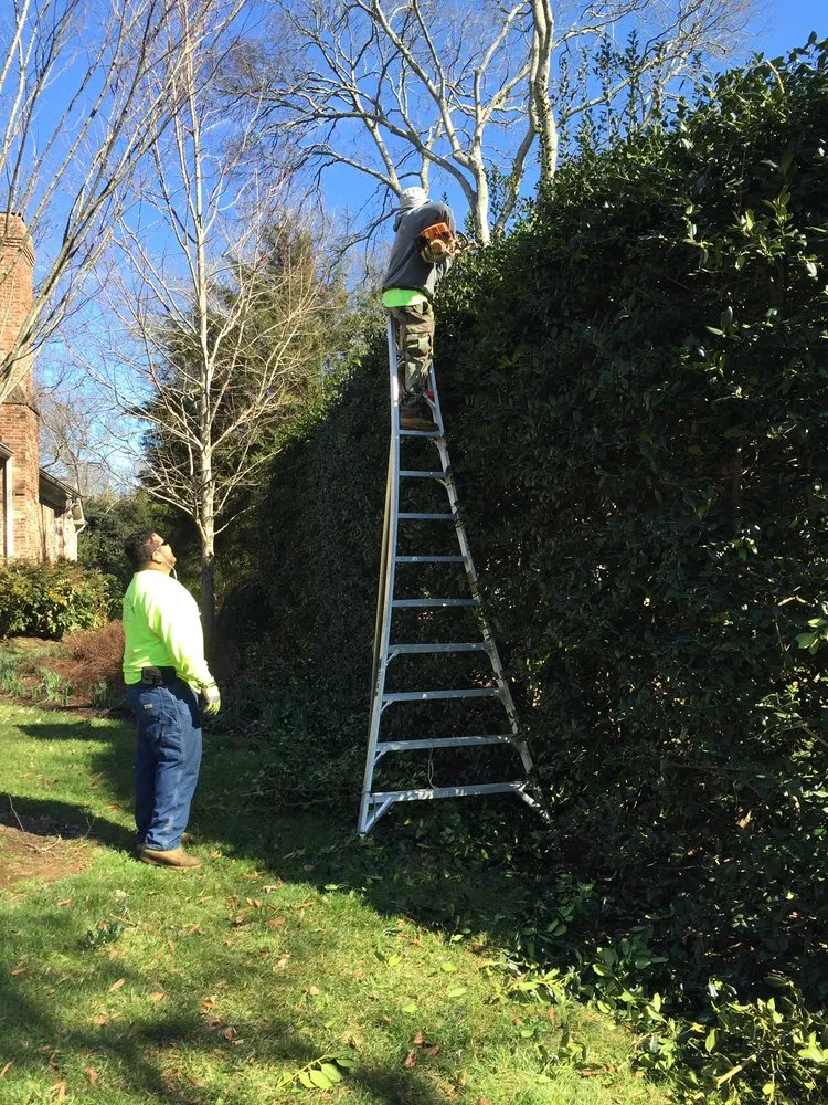 Top-rated lawn care service experts serving Ashland City, TN - Lawnscape