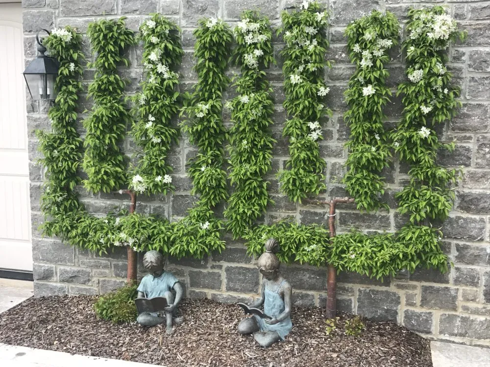 Custom landscaping services in Ashland City, TN by Lawnscape