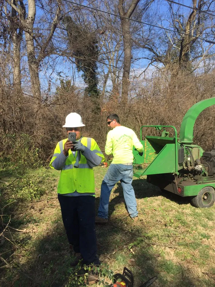 Professional yard cleanup service in Ashland City, TN - Lawnscape