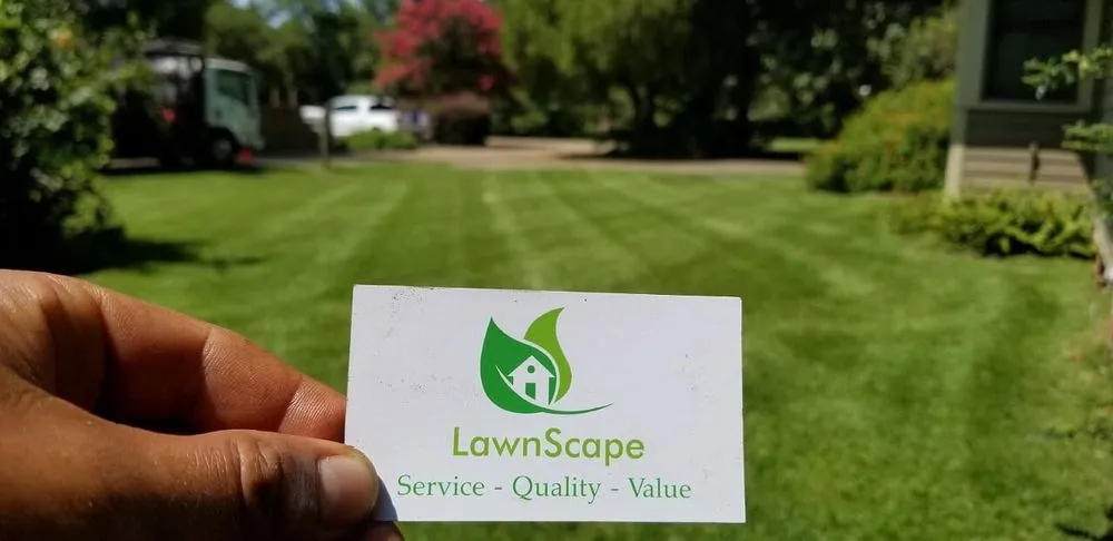 Local yard cleanup service with custom design in Lafayette, LA by LawnScape