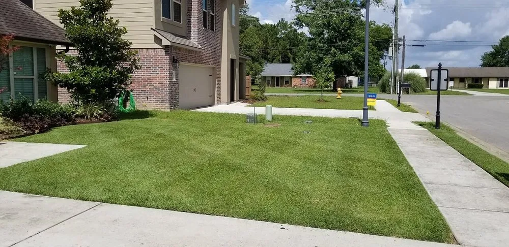 Affordable yard maintenance in Lafayette, LA - LawnScape