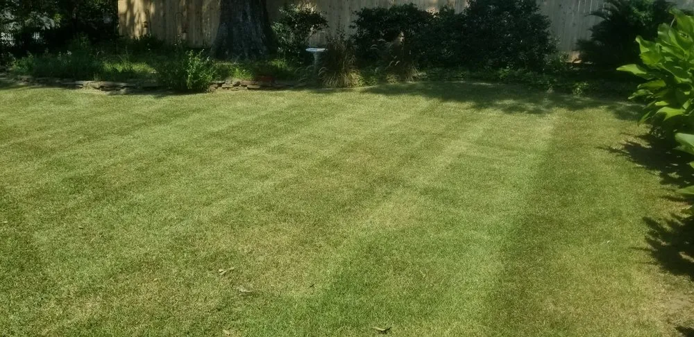 Reliable lawn mowing service experts serving Lafayette, LA - LawnScape