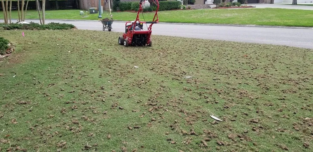 Expert landscape design with custom design in Lafayette, LA by LawnScape