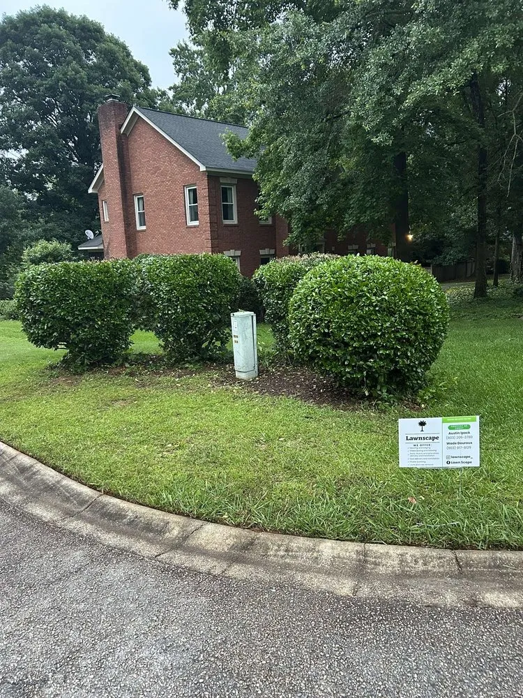 Reliable yard maintenance for beautiful yards across Lexington, SC - Lawnscape
