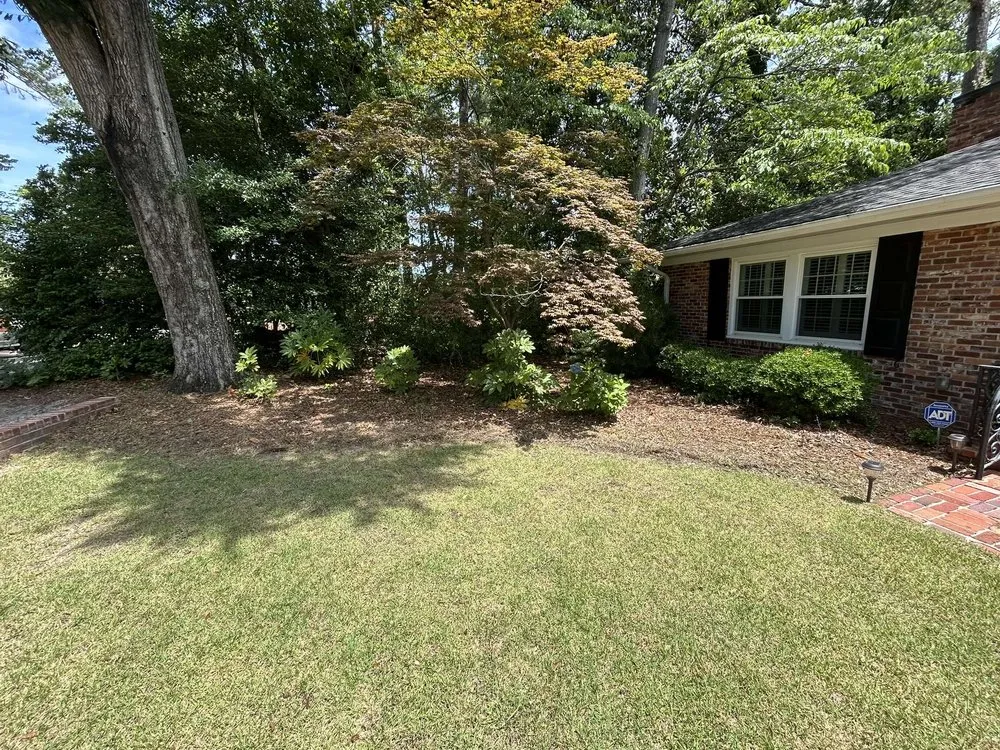 Top-rated lawn mowing service in Lexington, SC - Lawnscape