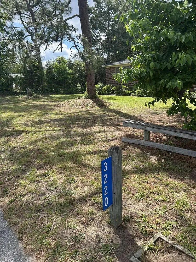 Custom yard cleanup service experts serving Lexington, SC - Lawnscape