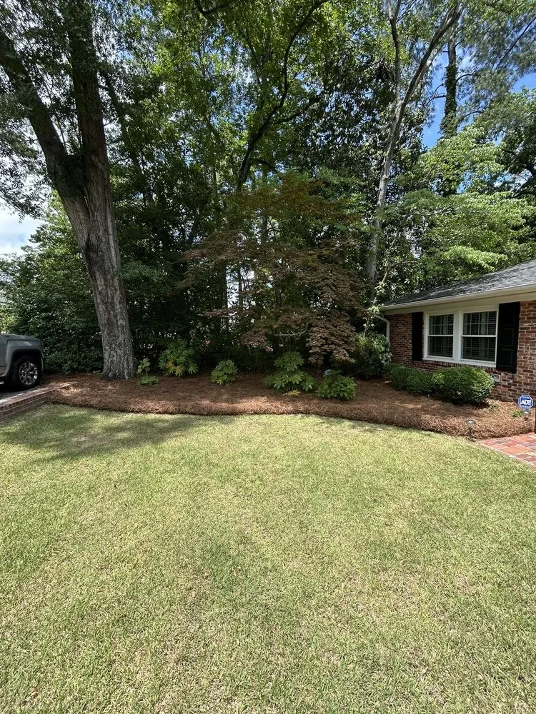 Trusted lawn mowing service in Lexington, SC - Lawnscape