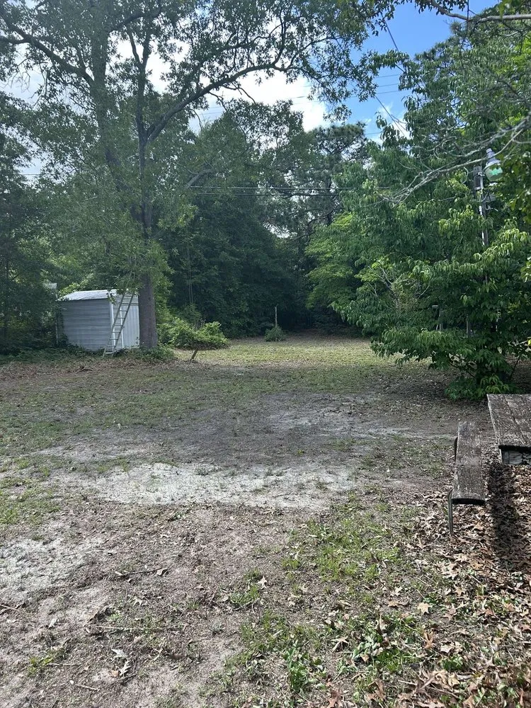 Trusted yard cleanup service for homes in Lexington, SC by Lawnscape