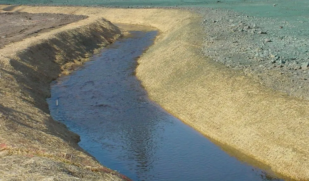 Custom yard maintenance in Fort Mill, SC - LawnScape, LLC