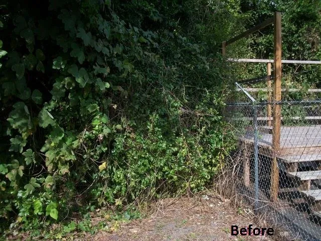 Custom garden landscaping for residential properties across Micanopy, FL - Lawnscape of CF