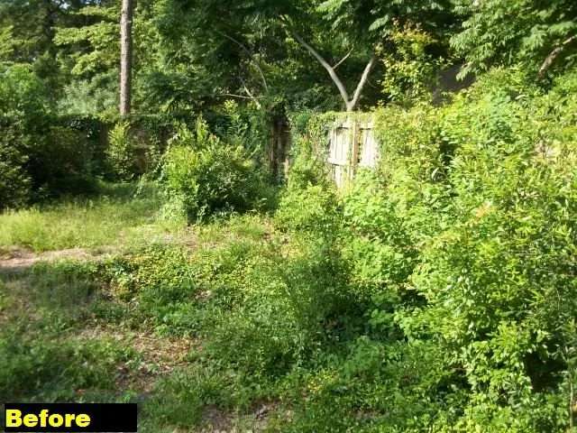 Affordable residential landscaping near you in Micanopy, FL by Lawnscape of CF