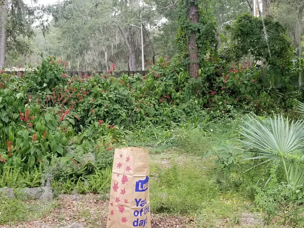 Custom landscape design for homes across Micanopy, FL - Lawnscape of CF