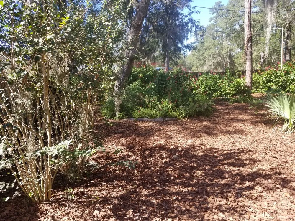 Expert lawn mowing service in Micanopy, FL - Lawnscape of CF