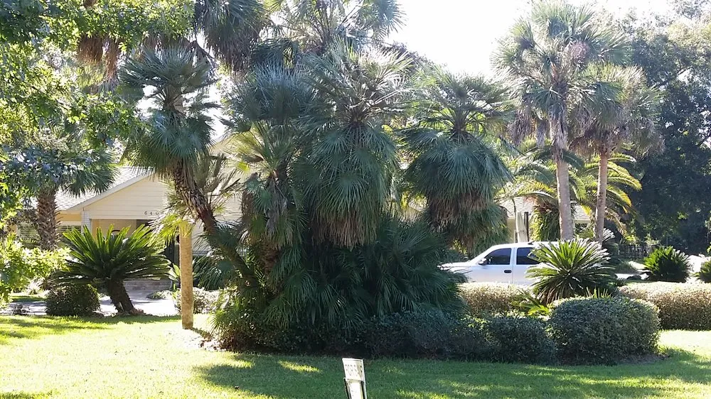 Top-rated garden landscaping in Micanopy, FL by Lawnscape of CF