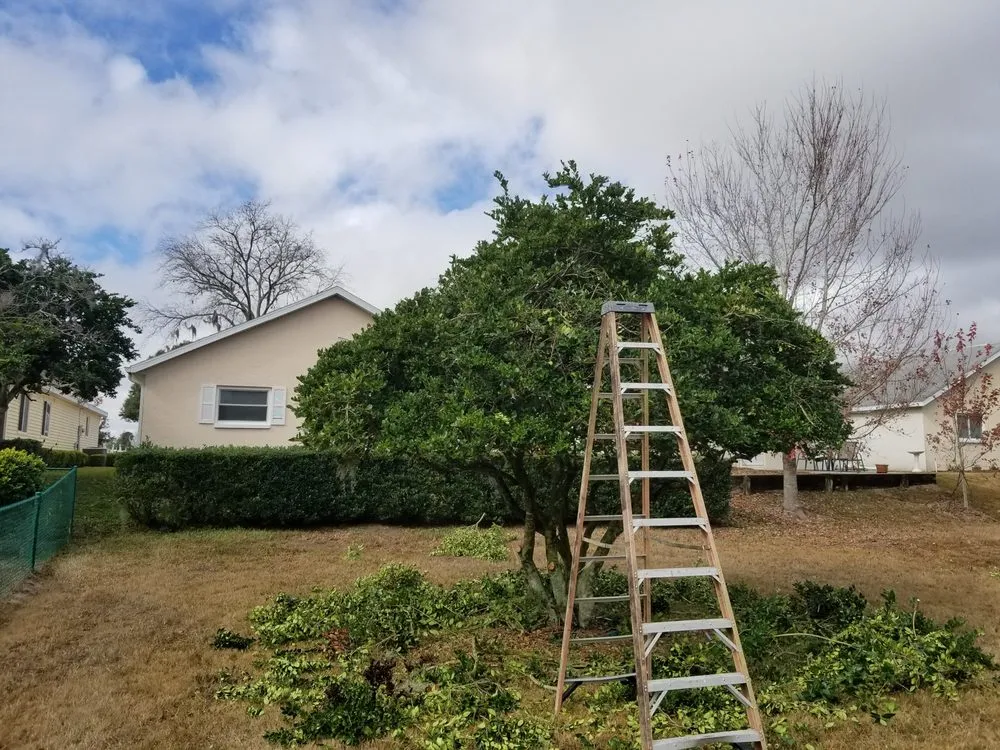 Expert landscaping services in Micanopy, FL - Lawnscape of CF