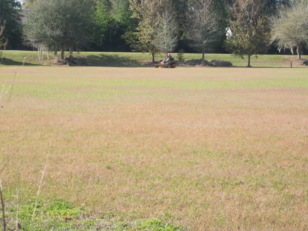 Expert landscape design experts serving Micanopy, FL - Lawnscape of CF