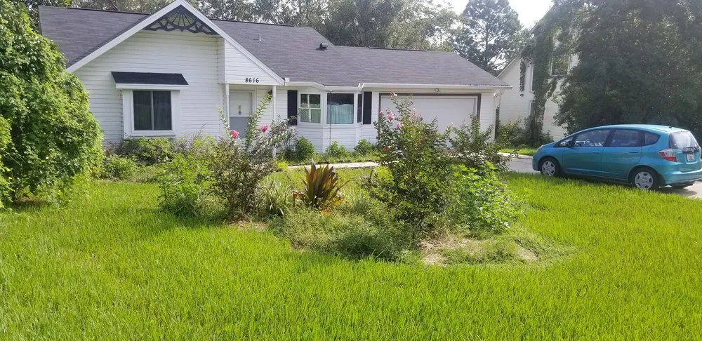Expert yard maintenance in Micanopy, FL by Lawnscape of CF