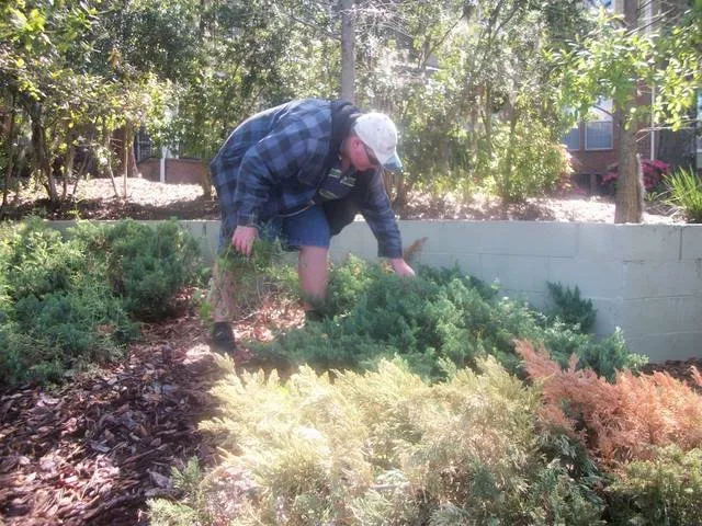 Professional landscape installation in Micanopy, FL by Lawnscape of CF