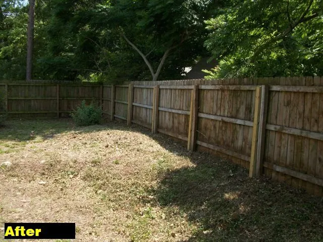 Professional lawn mowing service in Micanopy, FL by Lawnscape of CF