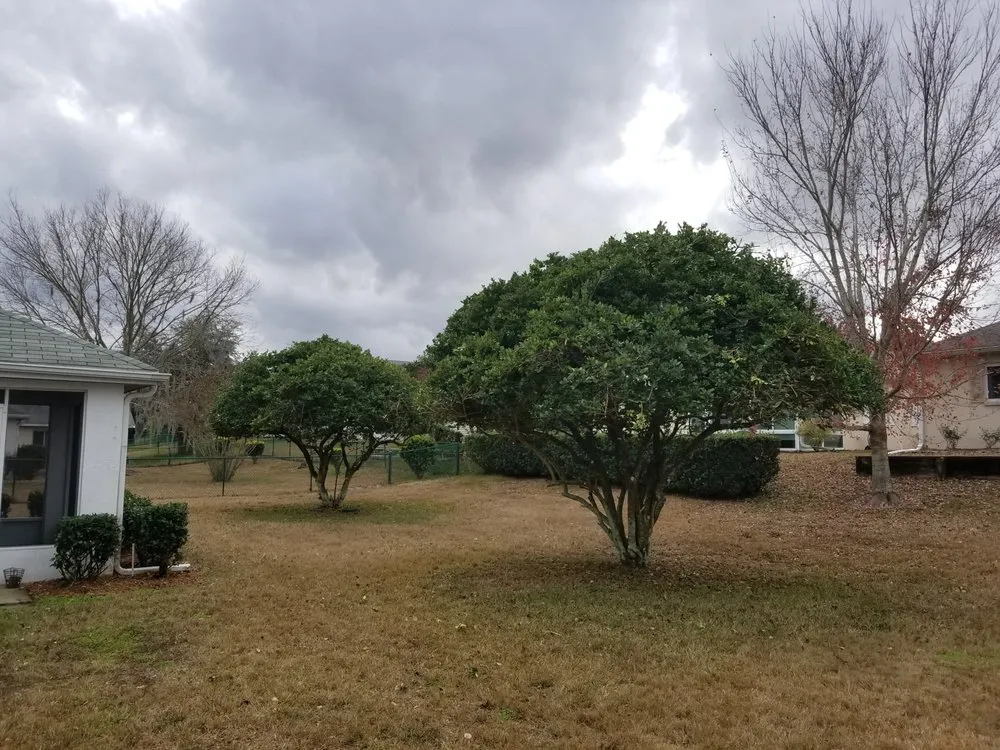 Custom residential landscaping in Micanopy, FL - Lawnscape of CF