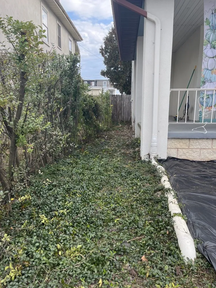 Local lawn care service in West York, PA - Lawnscape Plus