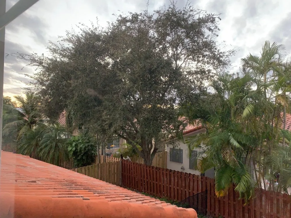 Professional garden landscaping experts serving Miami, FL - Lawnscape Pros