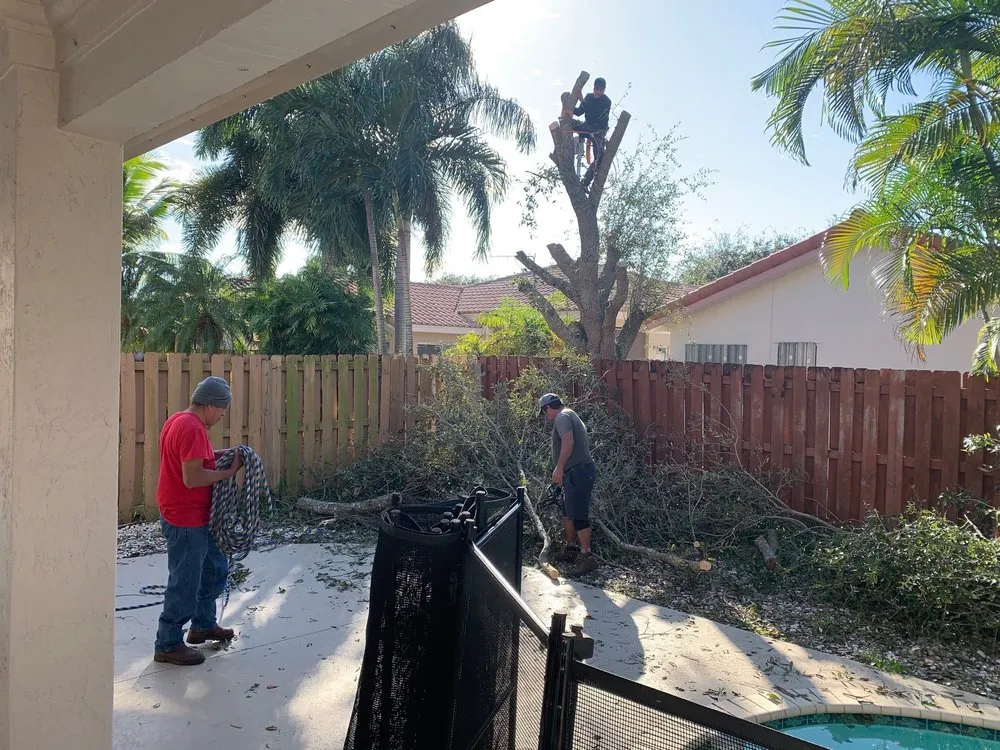 Reliable yard maintenance in Miami, FL by Lawnscape Pros