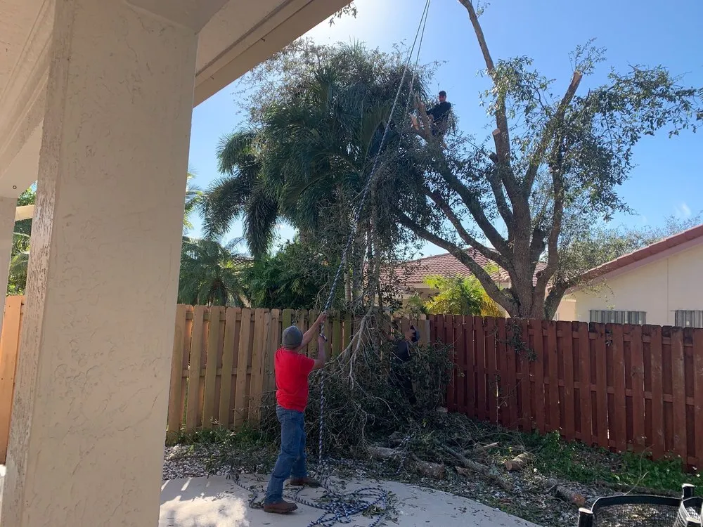 Local lawn mowing service for outdoor upgrades in Miami, FL by Lawnscape Pros