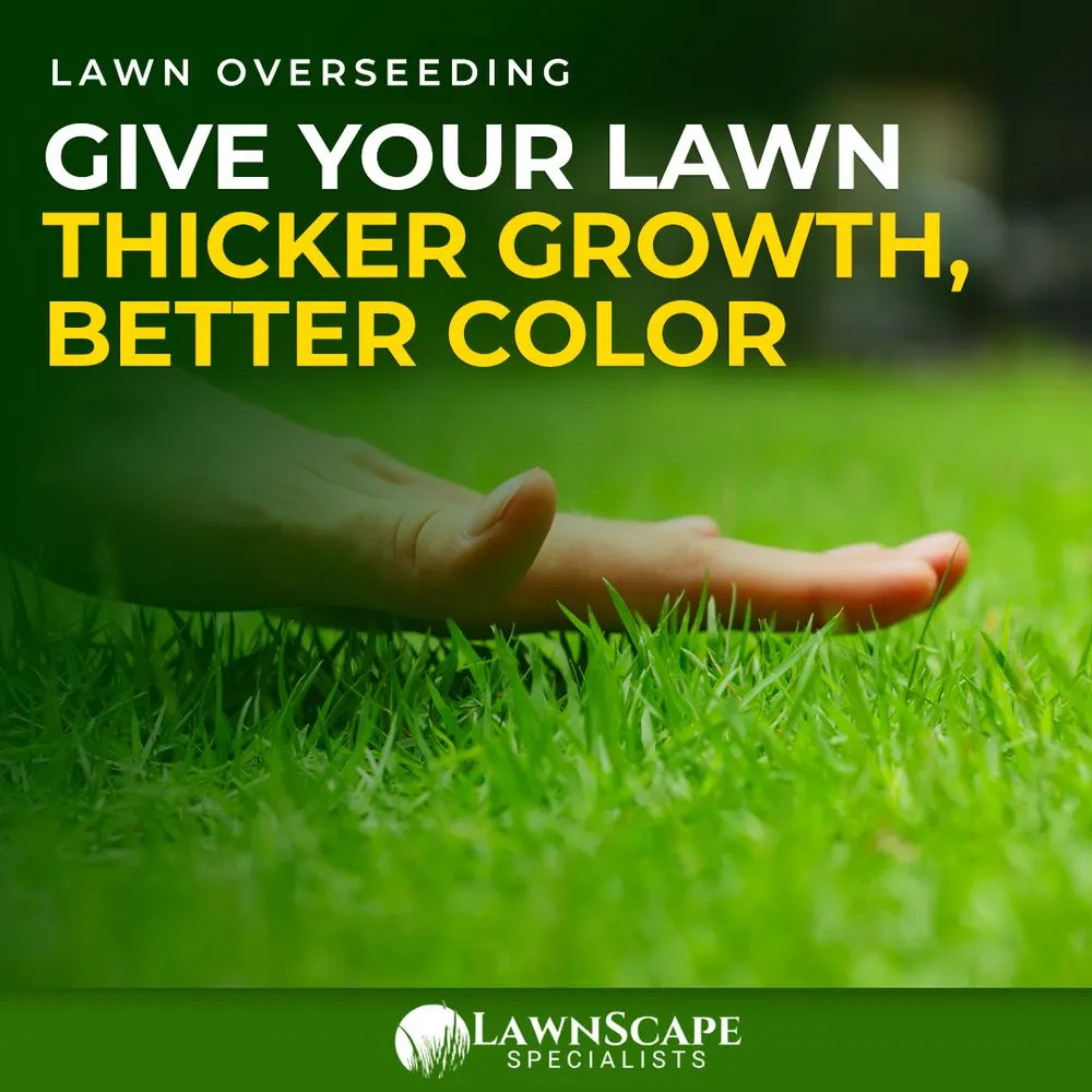 Reliable outdoor landscaping in Parkville, MO by Lawnscape Specialists