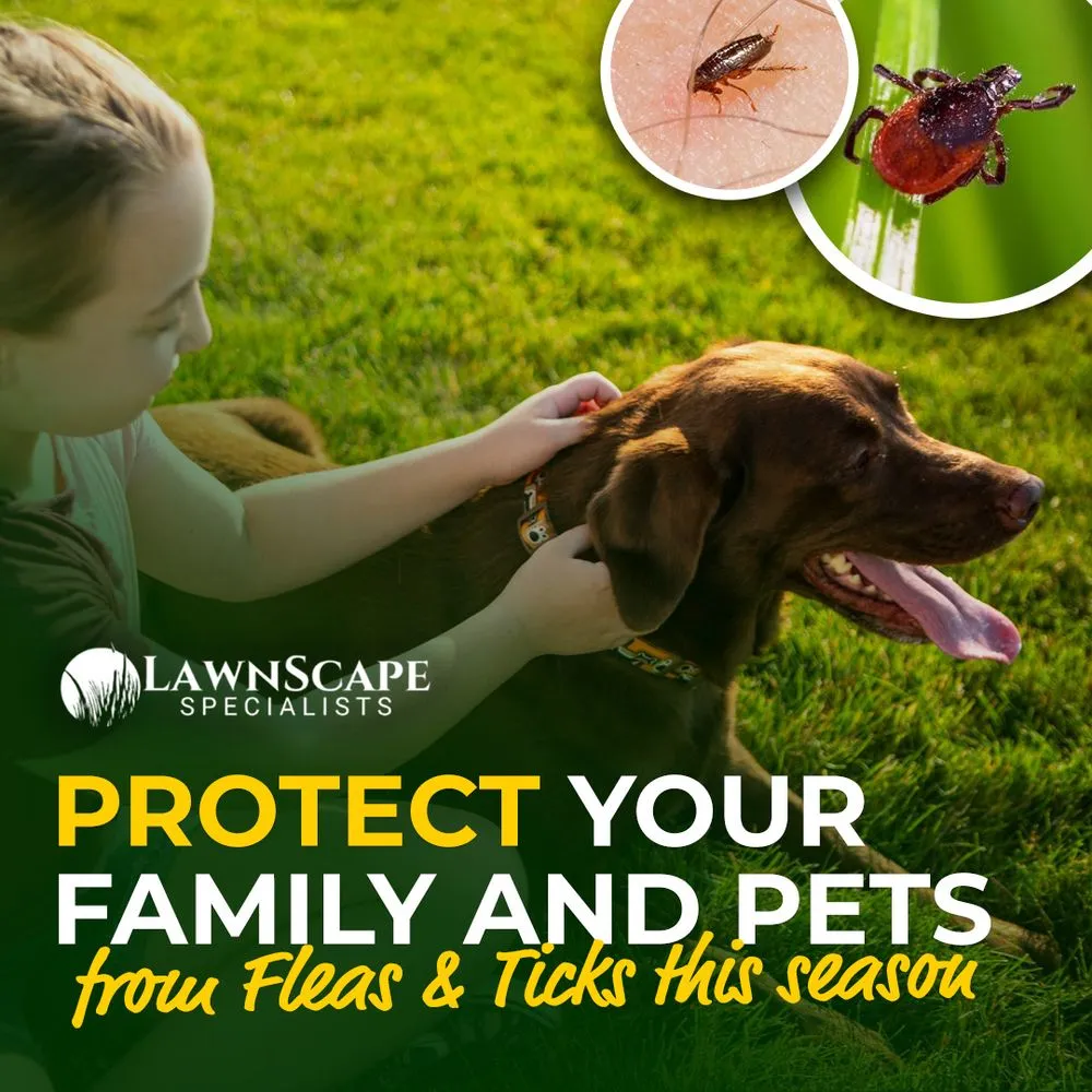 Custom garden landscaping in Parkville, MO - Lawnscape Specialists