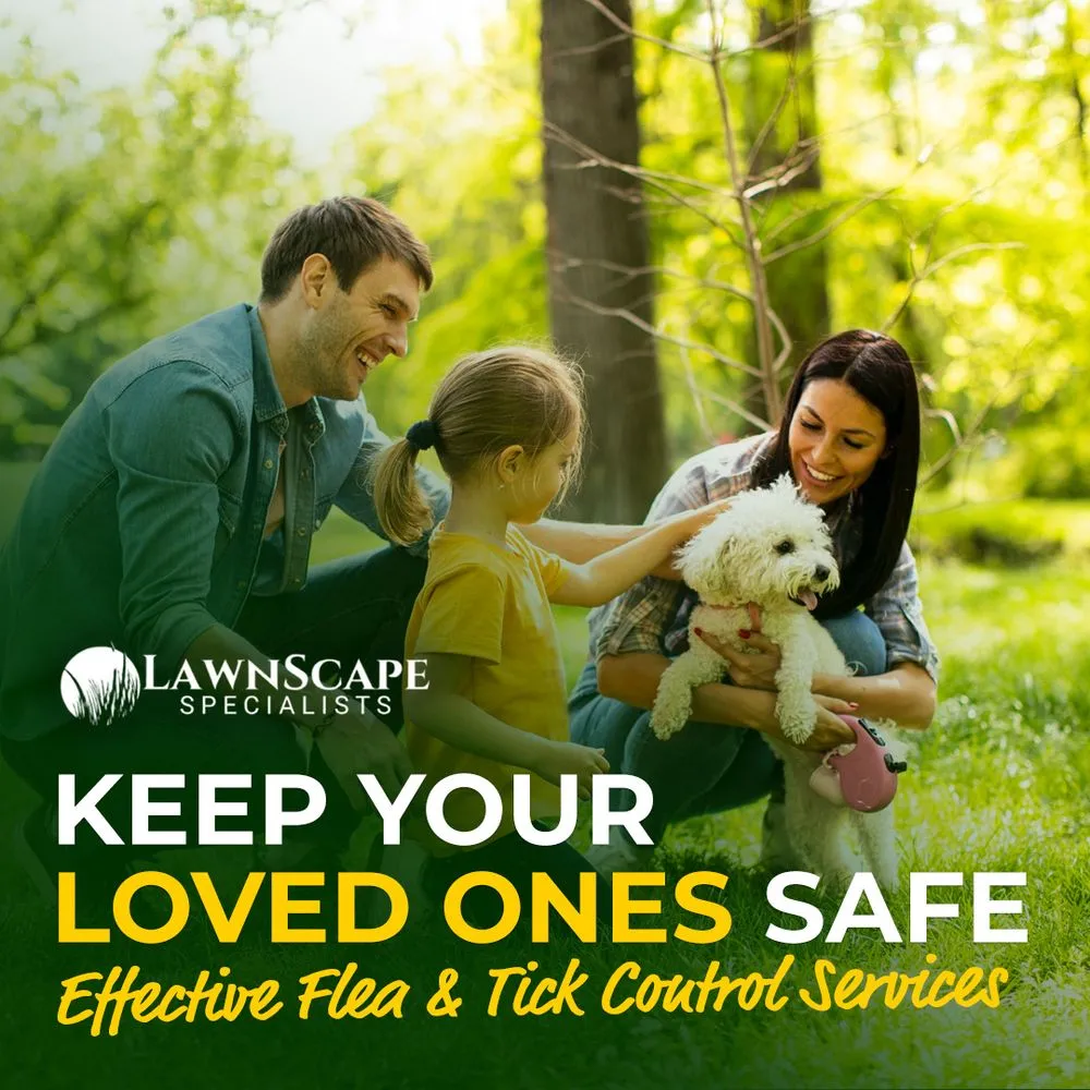 Local landscape design in Parkville, MO by Lawnscape Specialists