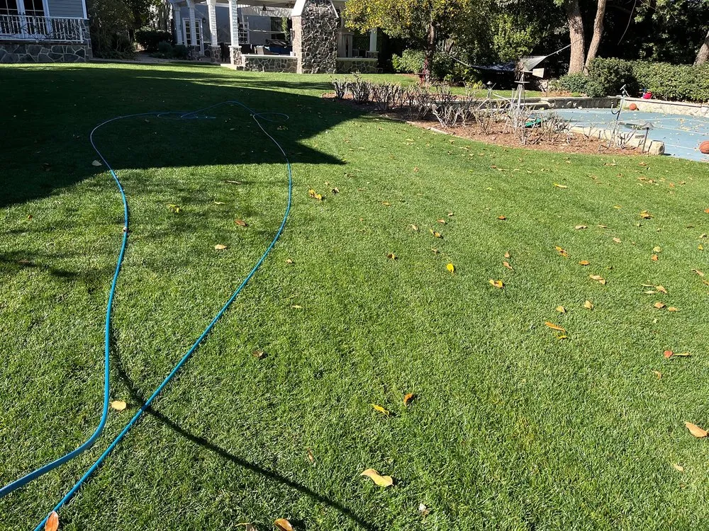 Trusted residential landscaping for residential properties in Montclair, CA by Lawnscape Systems