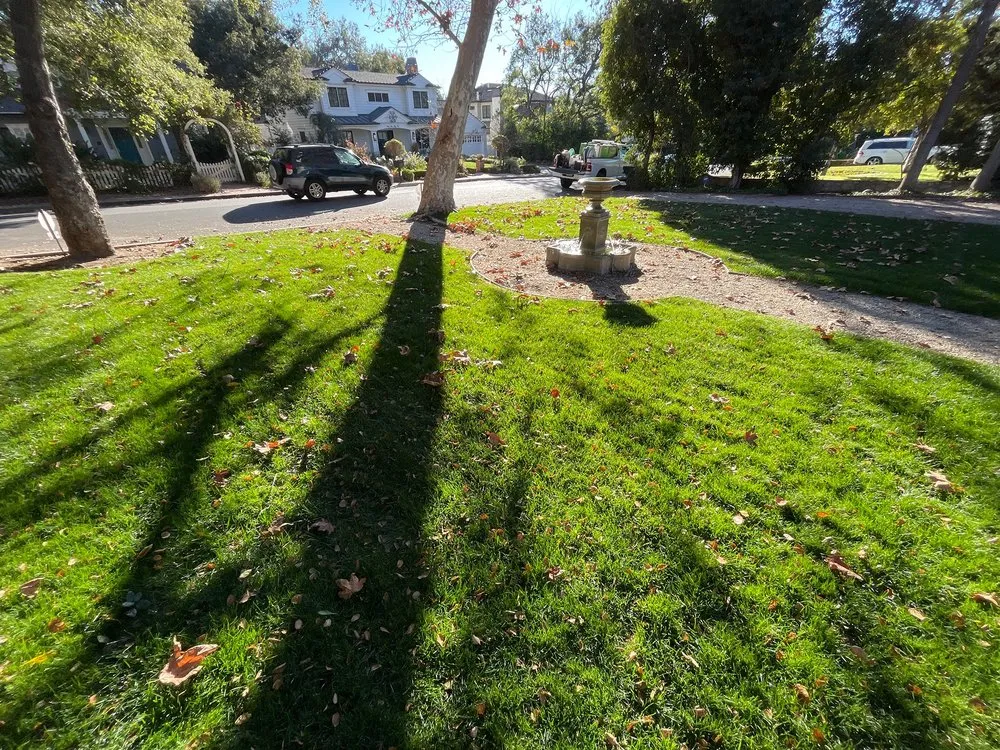 Expert lawn care service in Montclair, CA - Lawnscape Systems