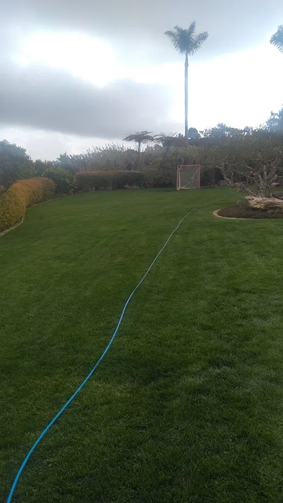 Expert landscape design in Montclair, CA by Lawnscape Systems