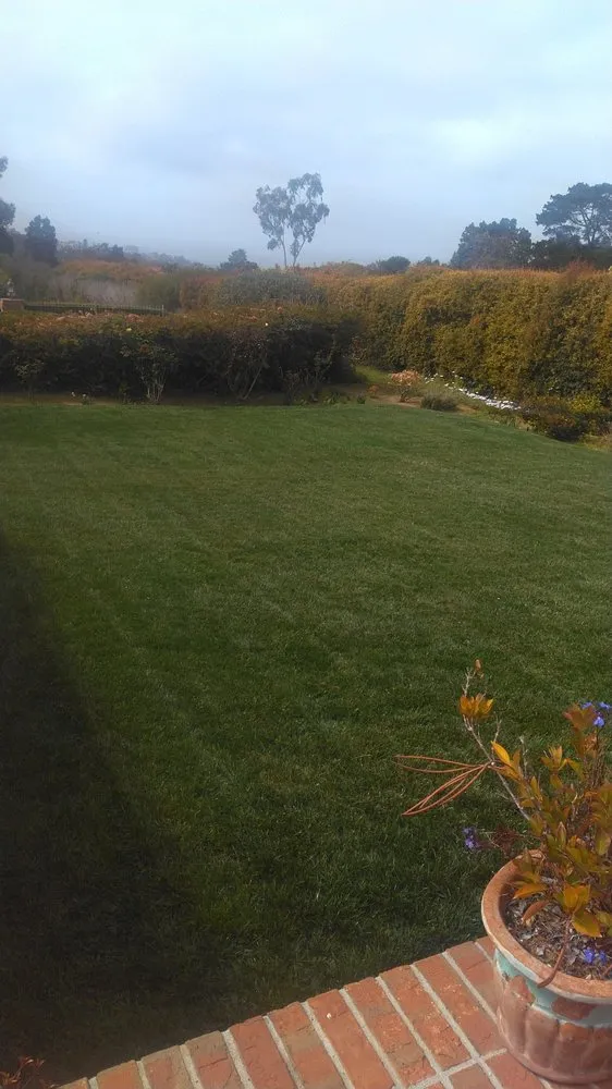 Top-rated lawn mowing service in Montclair, CA by Lawnscape Systems