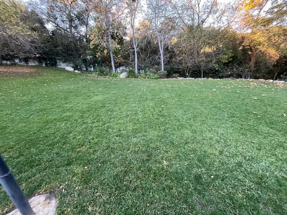 Custom garden landscaping in Montclair, CA - Lawnscape Systems